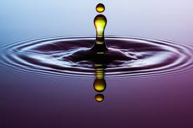 Adjustment of oil and water never possible, but still absolute adjustment  is always possible for a absolute personality (pure sadhu) – We should realize this point