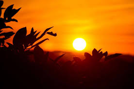 Krsna kripa can come to us through a bonafide sad Guru (Paramhamsa Vaishnava) not directly